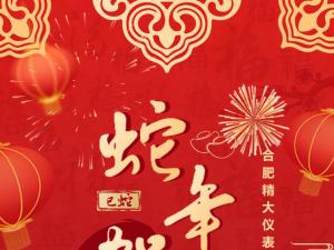 合肥精大儀表2025春節(jié)表彰暨聯(lián)歡會(huì)：回顧精彩，展望